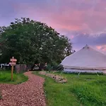 Glamping 